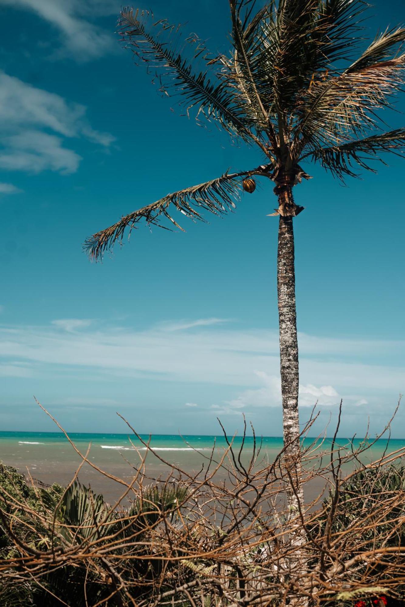 Pousada Casa Mar Pe Na Areia Leilighet Caraíva Eksteriør bilde